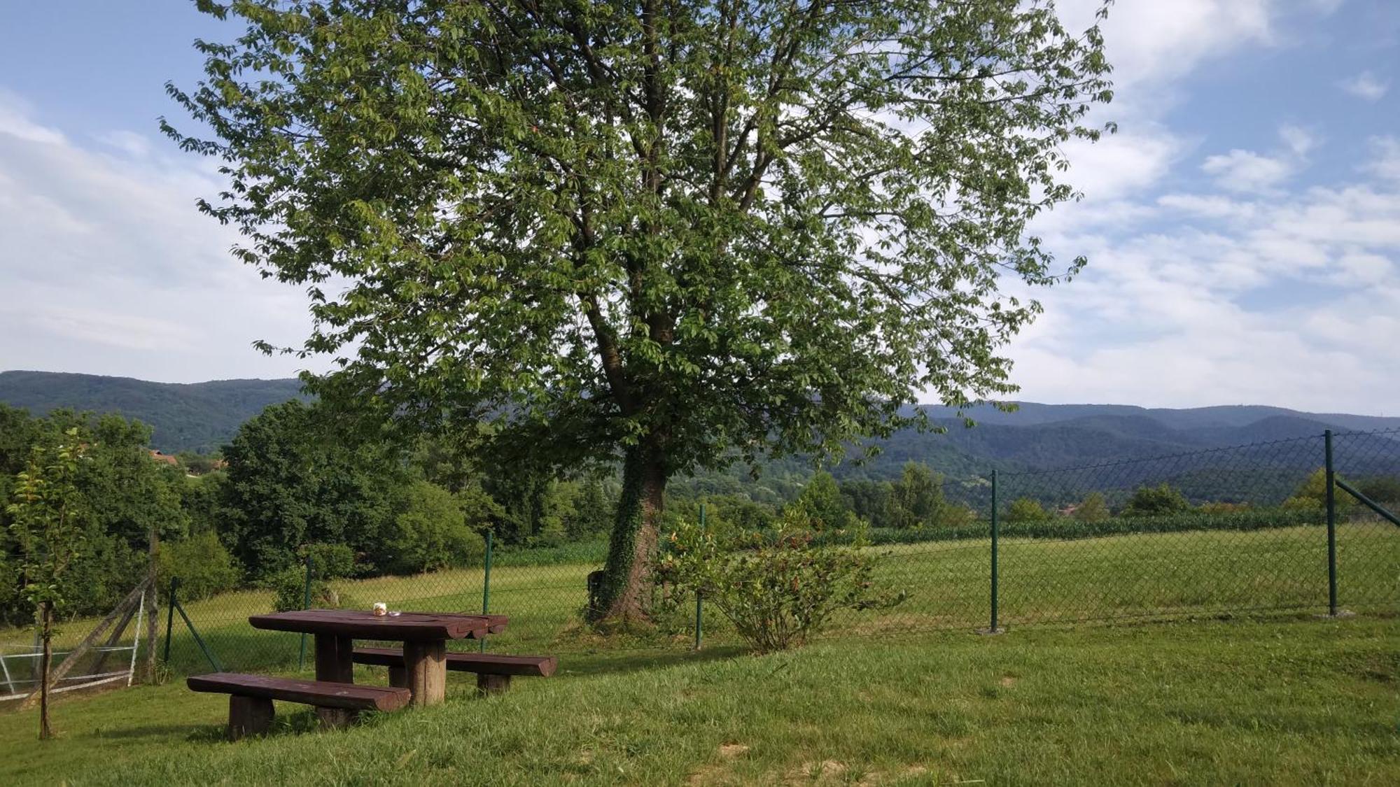 Kuca Za Odmor Diva*** Villa Donja Stubica Bagian luar foto